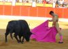 toros4.jpg