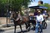 pasacalles-feria_ecuestre_de_la_primavera2017_(18).jpg