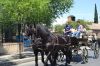 pasacalles-feria_ecuestre_de_la_primavera2017_(20).jpg