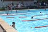 campeonatoo_natacion-feria_2017_(12).JPG